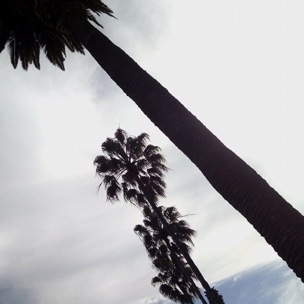 Meet your Posher, Maia